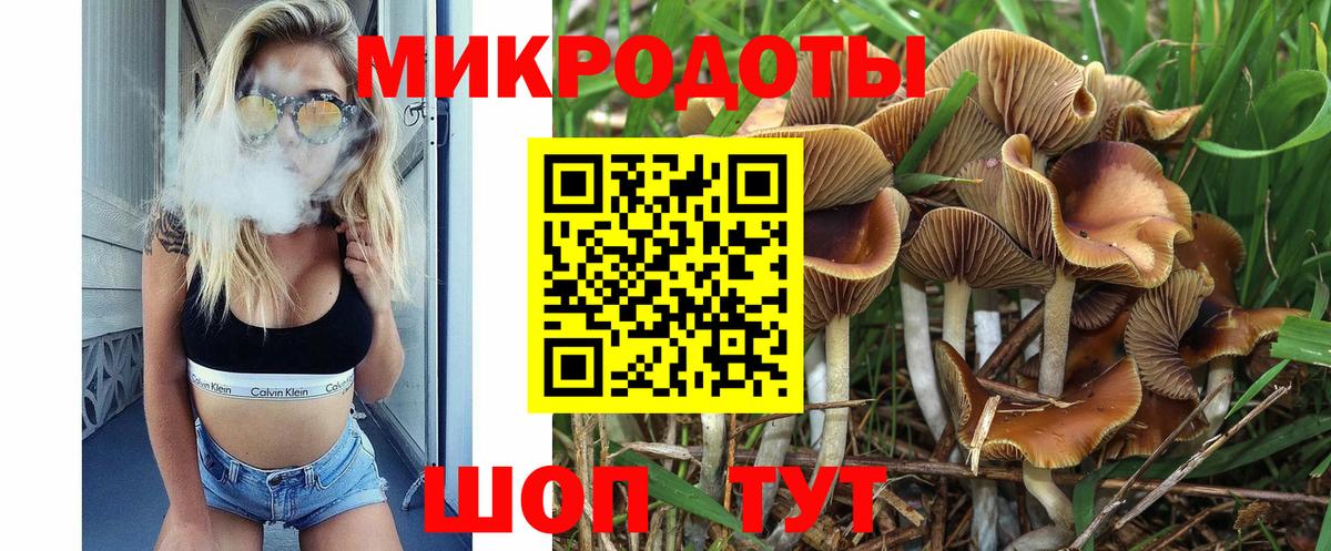 Галлюциногенные грибы прущие грибы Шатура