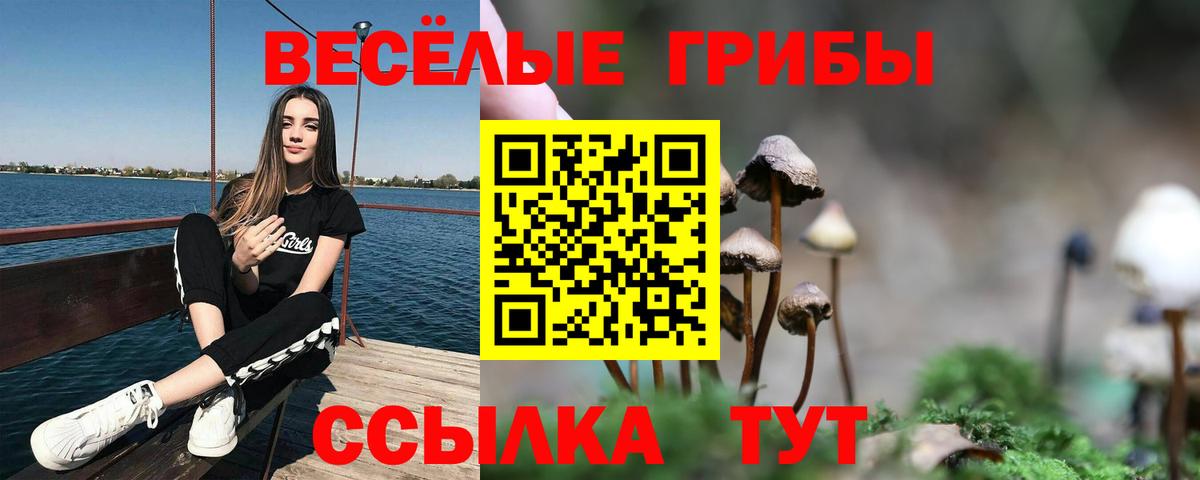 Псилоцибиновые грибы Psilocybe  Галлюциногенные грибы мухоморы  Шатура  Вход с VPN 